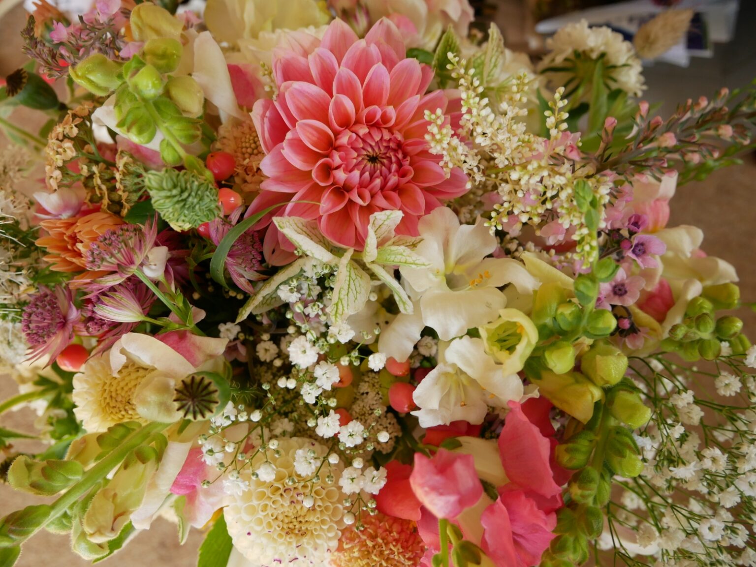 Clodhopper Blooms Seasonal Cut Flowers grown in Kirkby Stephen Cumbria