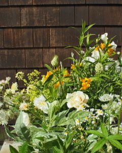 seasonal summer flowers grown in Cumbria, UK